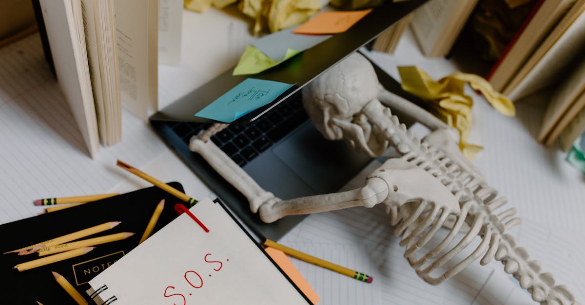 Incorporating Breaks into Your Study Plan for the APM PFQ Exam